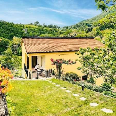 Il Tuo Casale Tra Le Colline - Marche House Villa Venarotta Eksteriør bilde