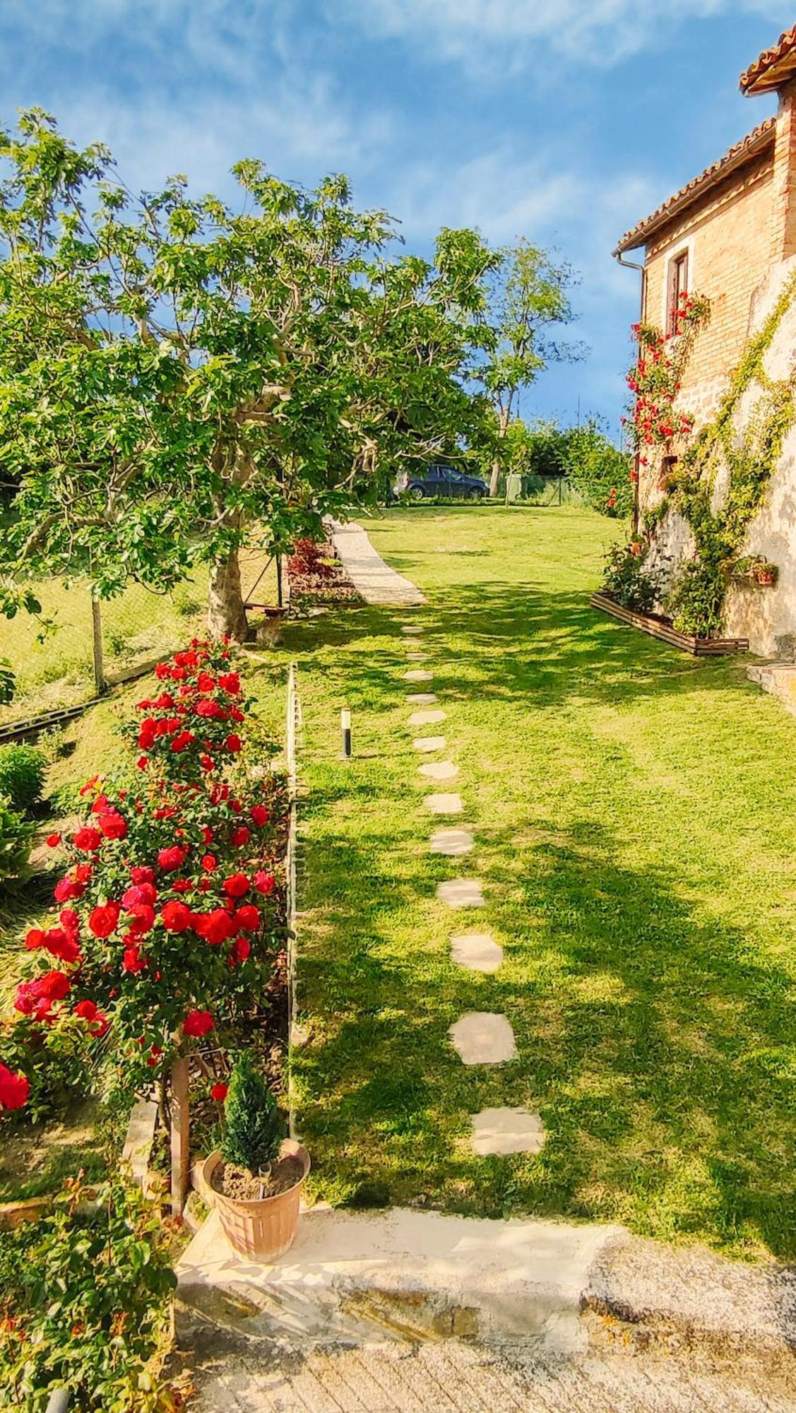 Il Tuo Casale Tra Le Colline - Marche House Villa Venarotta Eksteriør bilde